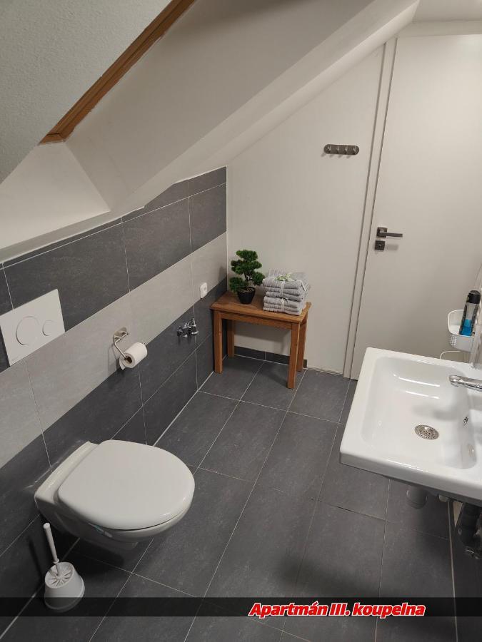Apartmany Na Ceste Desná Εξωτερικό φωτογραφία